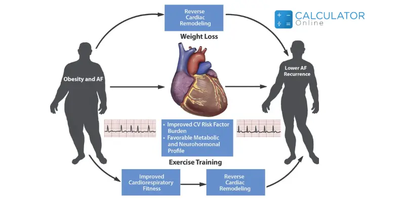 How does Increasing Activity Affect your BMI and Heart Rate?